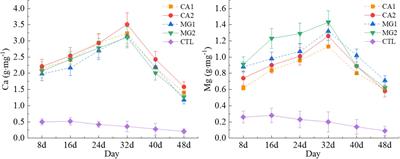 Effect of calcium and magnesium on starch synthesis in maize kernels and its physiological driving mechanism